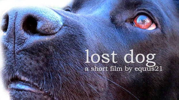 LOST DOG (Movie Poster)