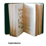 Book Open Png