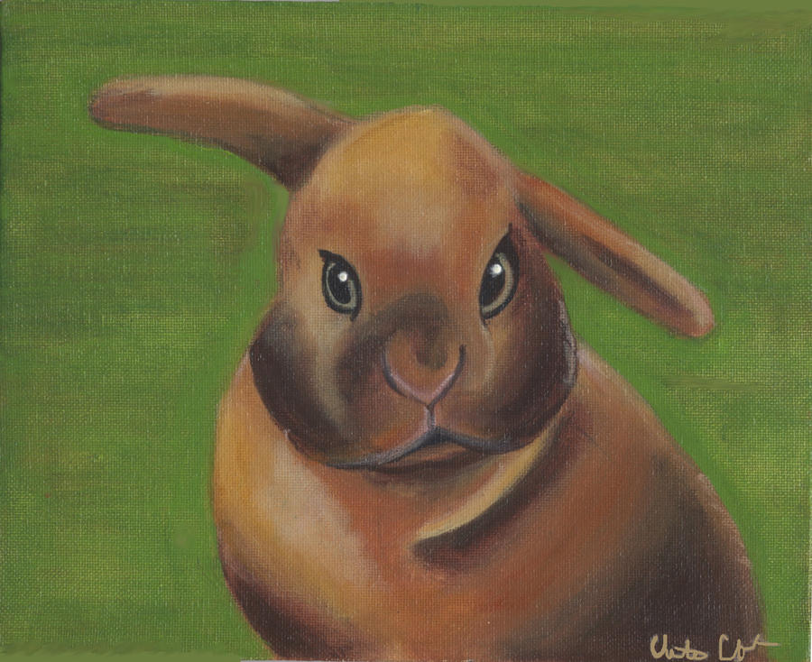Brown Rabbit Deviantart Brown Bunny by c-dazzled97 on DeviantArt