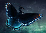 Red-Spotted Purple Dragon