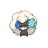 Shiny Whimsicott w/ Cotton Candy