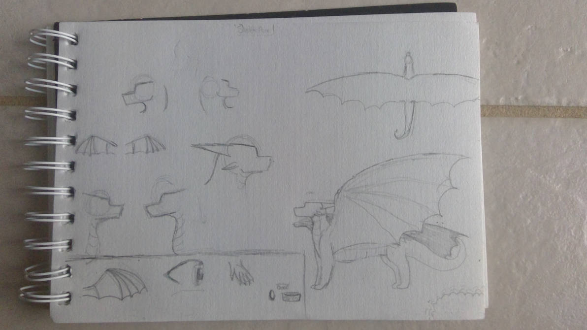 Reference Sheet Example by ArtyBasketballer on DeviantArt