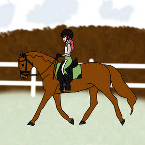 YlvaDressage User Profile | DeviantArt
