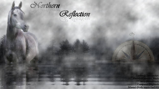 Northern Reflection