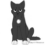 Kitten adoptable FREE -CLOSED-