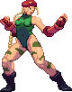 SF3 Cammy