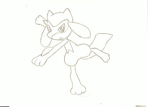 My Riolu pic I made