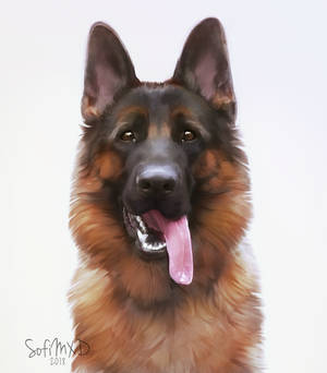 [portrait#2] German shepherd