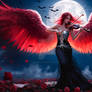 Elegia of the night