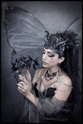 Lady Amaranth