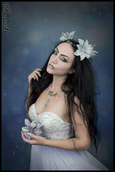 Lady Amaranth