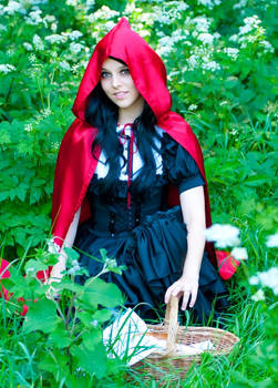 Little Red Riding Hood 5