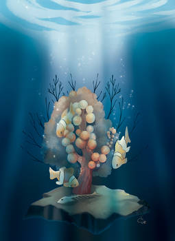 A funeral under the coral reef