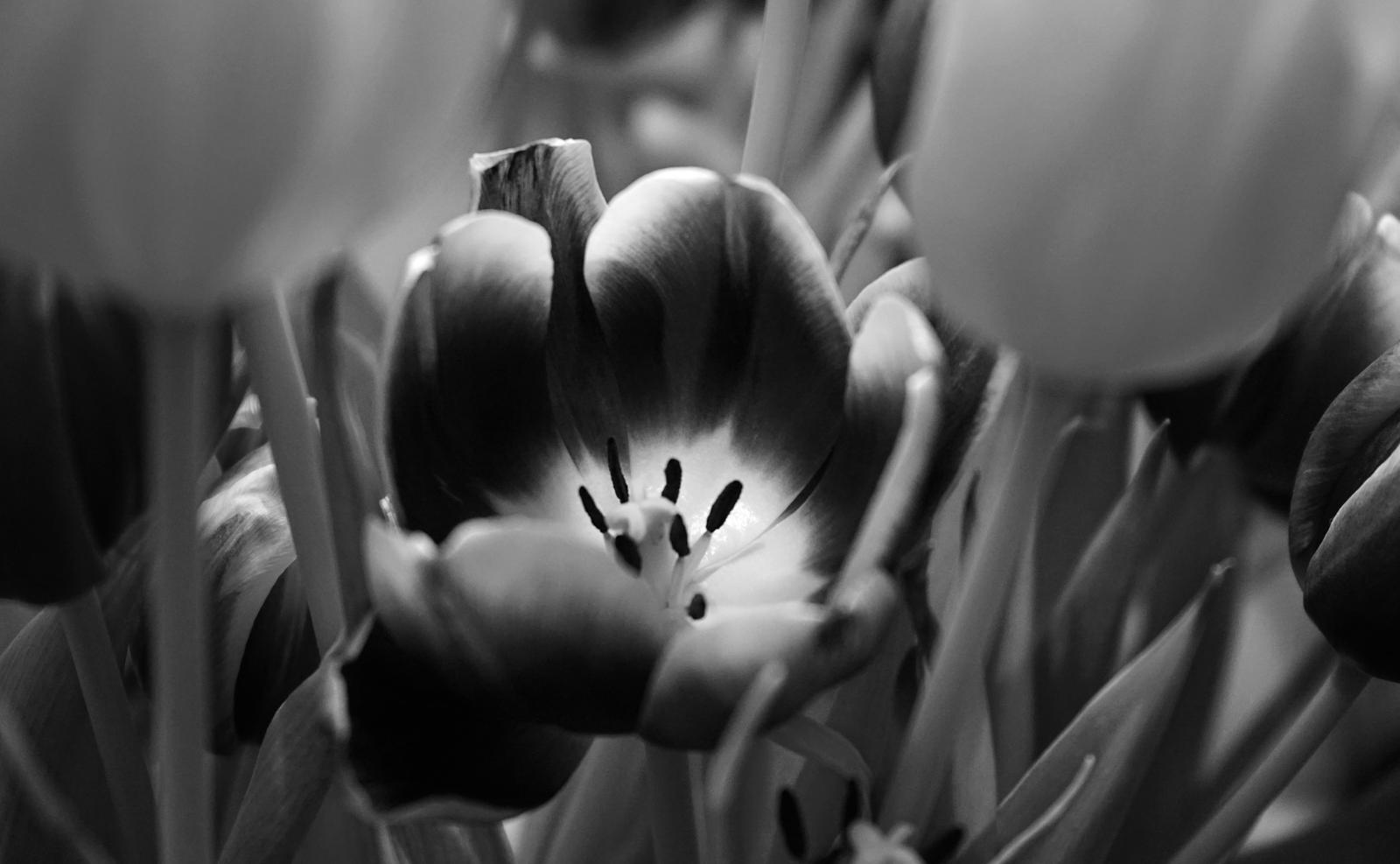 Details of beauty !!!