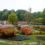 a bit of Autumn in the park ...01