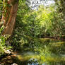 Magical nature
