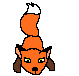 Fox pup