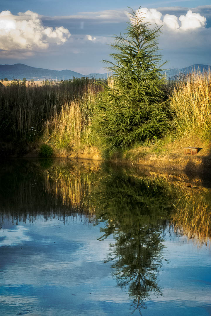 Mountain pond