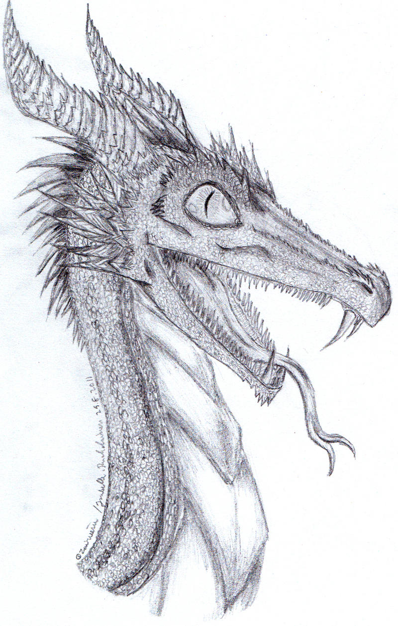 Dragon pencil sketch-