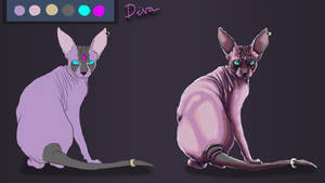 Game studies: Diva