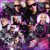 Pitbull Edit #2