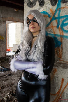 Black Cat (Felicia Hardy)