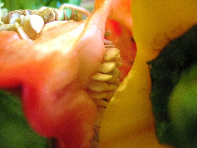 bell peppers 6