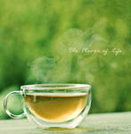 The Flavor of Life by faintsmile28