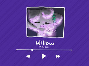 ~ willow ~