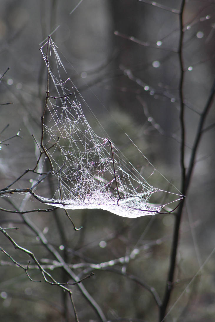 Triangular Web by SailorLunara on DeviantArt