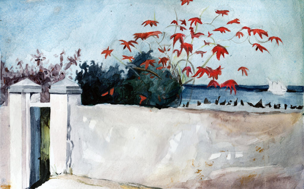 A Wall, Nassau. After Winslow Homer by sackofsquan A Wall, Nassau. After Winslow Homer by sackofsquan