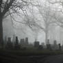 Chestnut Grove Cemetery in the Fog