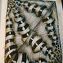 #Zentangle glitch