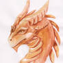 Orange Watercolour Dragon Sketch