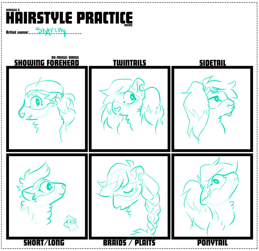 hair meme by stArchaeopteryx