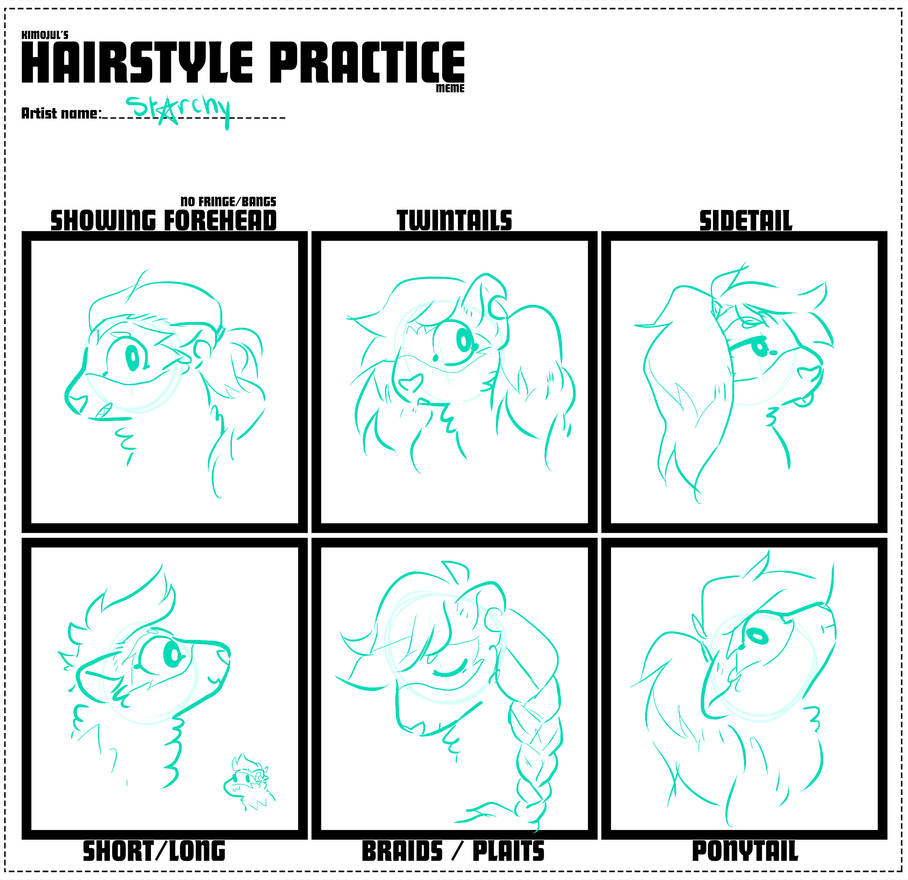 hair meme by stArchaeopteryx