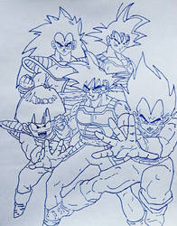 The  Saiyans 