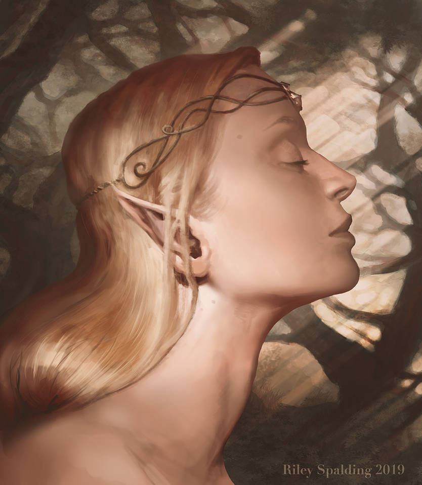 Buff Elf Portrait Elf Portrait by RileySpalding on DeviantArt