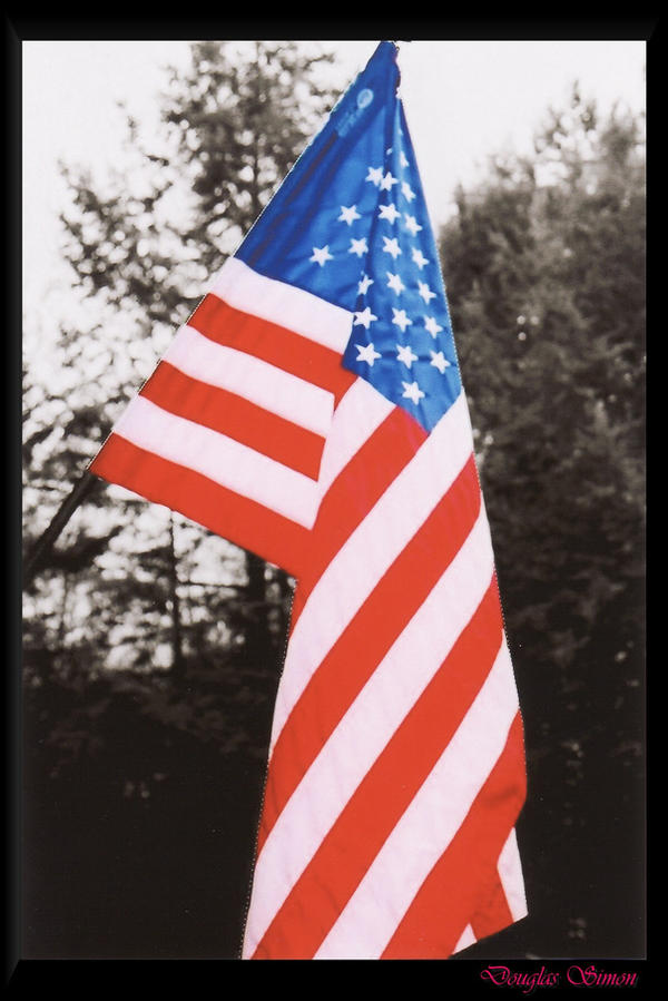 American Flag by Thedooooooogman on DeviantArt