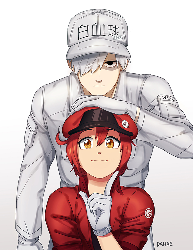Hataraku Saibou Deviantart Gallery Hataraku Saibou Deviantart Gallery
