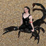 Scorpion Empress