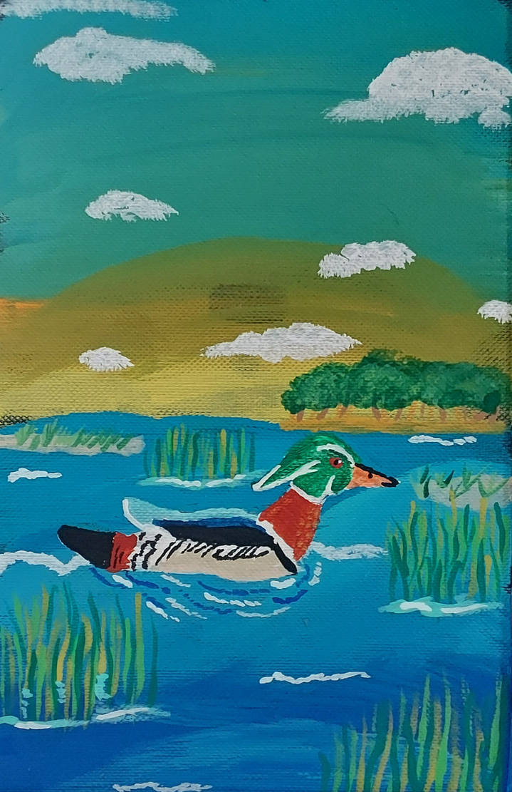 Wood duck painting by mewsonamy97 on DeviantArt