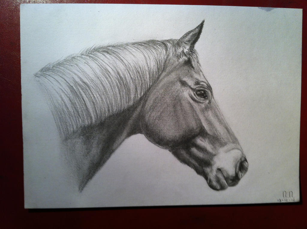 Horse