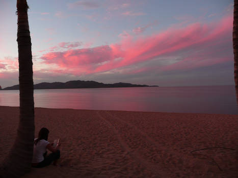 reading on the beach