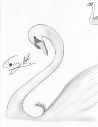 Sketch Prompt 02 - Majestic Swan and Derpy Swan...