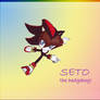 seto the hedgehog