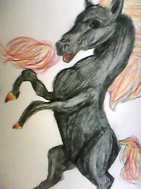 hell/fire pony