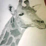 giraffe number 2