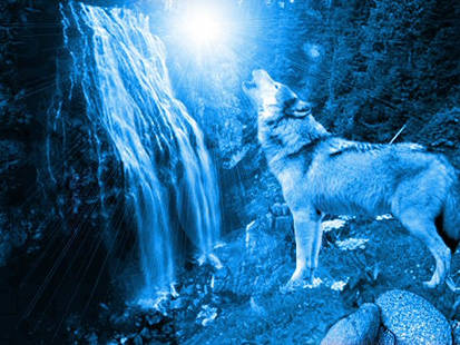 Blue Wolf