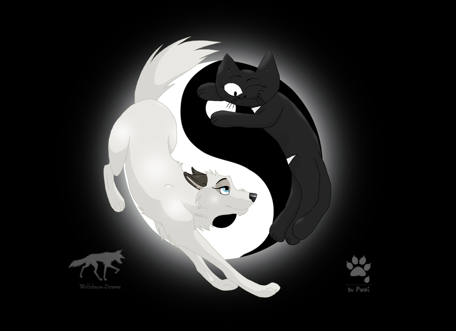 Ying-yang